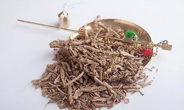 地骨皮图片与功效