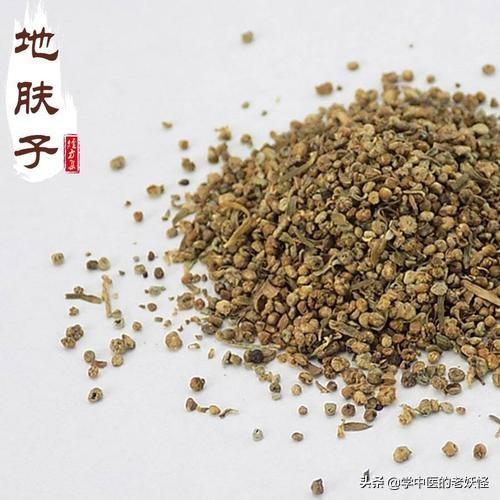 地肤子，祛风止痒